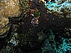 IMG_1199.JPG