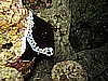 IMG_1208.JPG