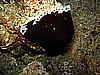IMG_1209.JPG