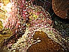 IMG_1214.JPG