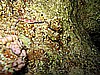 IMG_1217.JPG