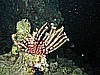 IMG_1222.JPG