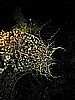 IMG_1227.JPG