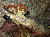 IMG_1230.JPG