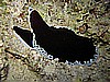 IMG_1245.JPG