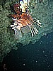 IMG_1251.JPG