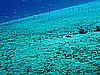 IMG_1261.JPG