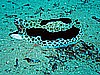 IMG_1262.JPG