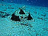 IMG_1264.JPG