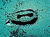 IMG_1265.JPG