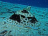 IMG_1269.JPG