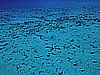 IMG_1270.JPG