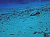 IMG_1271.JPG