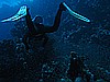 IMG_1272.JPG