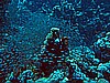 IMG_1276.JPG