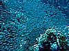 IMG_1277.JPG