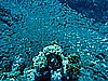 IMG_1278.JPG