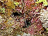 IMG_1279.JPG