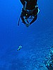 IMG_1282.JPG