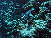 IMG_1283.JPG