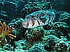 IMG_1284.JPG
