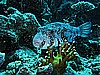 IMG_1285.JPG