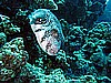 IMG_1286.JPG