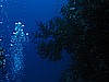 IMG_1288.JPG