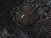 IMG_1289.JPG