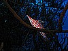 IMG_1291.JPG