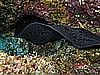 IMG_1297.JPG