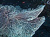 IMG_1301.JPG