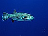 IMG_1308.JPG