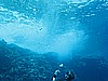 IMG_1309.JPG
