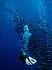IMG_1314.JPG