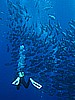 IMG_1315.JPG