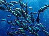 IMG_1317.JPG