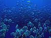 IMG_1324.JPG