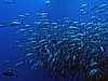 IMG_1326.JPG