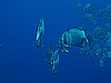 IMG_1328.JPG