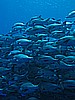 IMG_1332.JPG