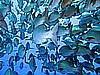 IMG_1336.JPG