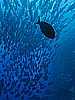 IMG_1338.JPG