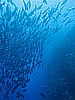 IMG_1339.JPG