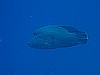 IMG_1348.JPG