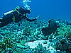 IMG_1352.JPG