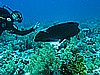 IMG_1353.JPG