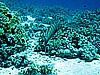 IMG_1354.JPG