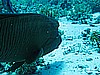 IMG_1356.JPG