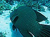 IMG_1357.JPG